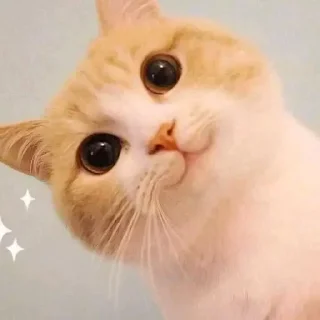 😊
