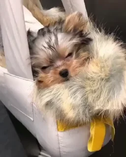 🤨