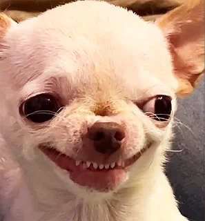 👹