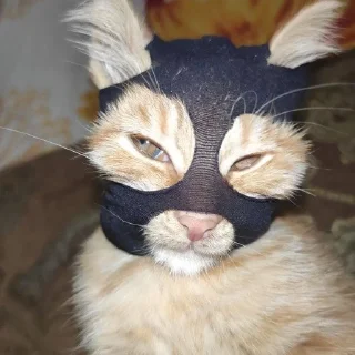 😎