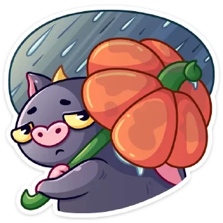 ☔️