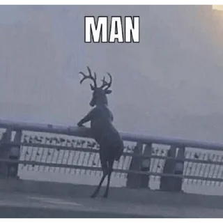 🦌