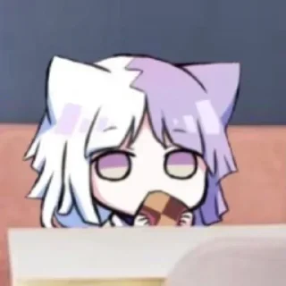 😽