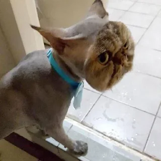 😒