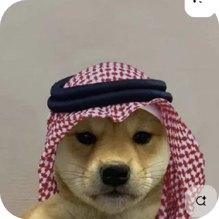 🖼