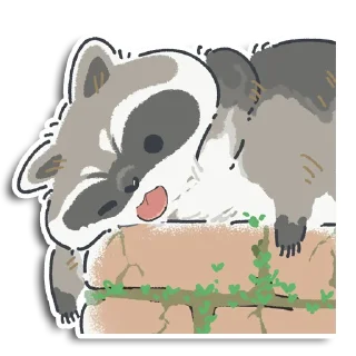 🦝