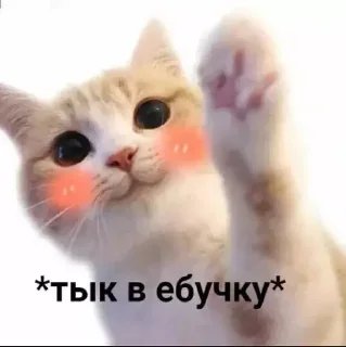 👊