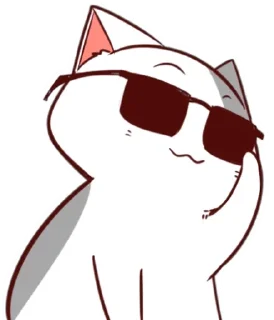 🐈
