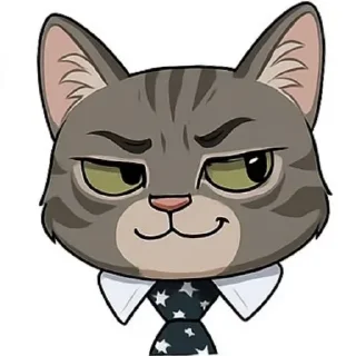 🐱