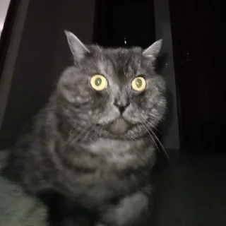 👀