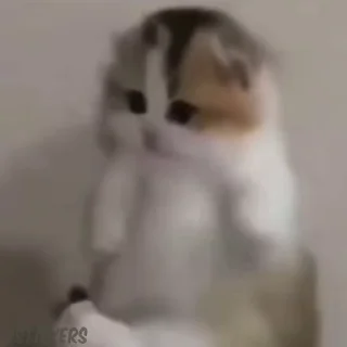 😌