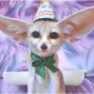 🥳