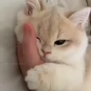 🤞