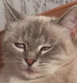 😕