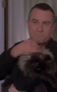 🐱