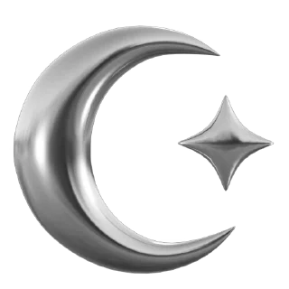 🌙