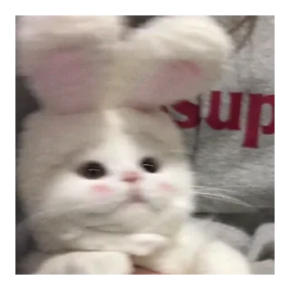 🤪