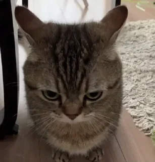 😖