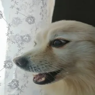 😍