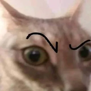 🤯