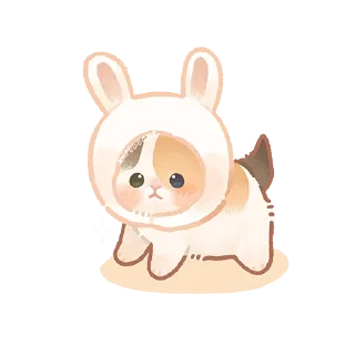 🐰