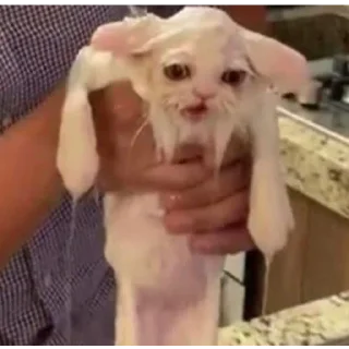 🚿