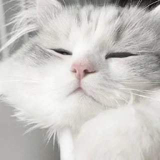 🥱