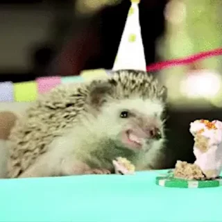 🎂
