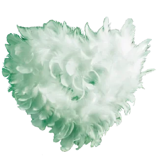 💚