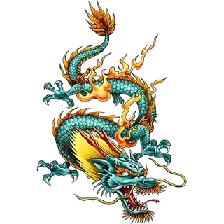 🐲