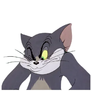 🙀