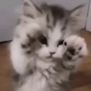 ☺️