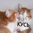 😘