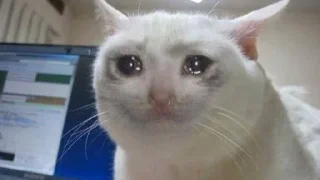 😢