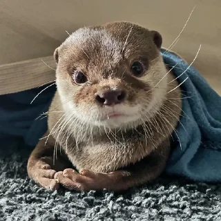 😐