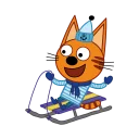 🎿
