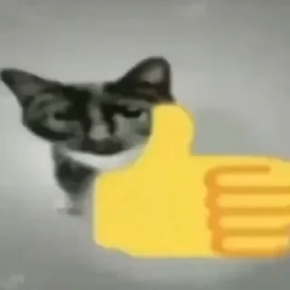 👍