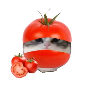 🍅