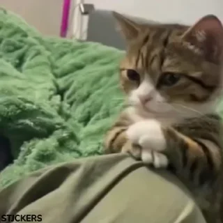🤧