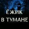 Ёжик в тумане