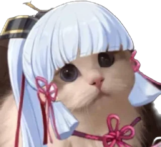 😿