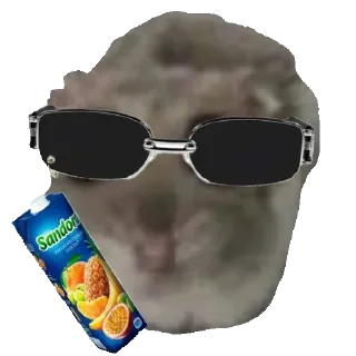🕶