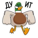 💪