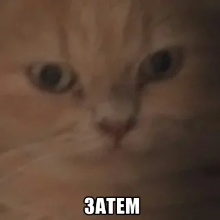 ❗️