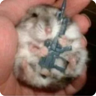 🔫