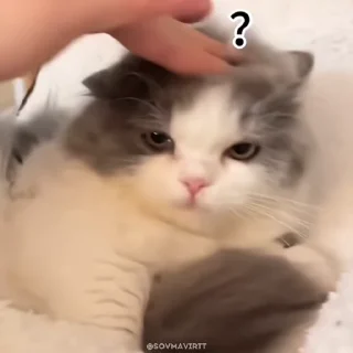 ❔