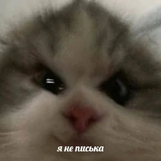 😏