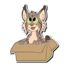 📦