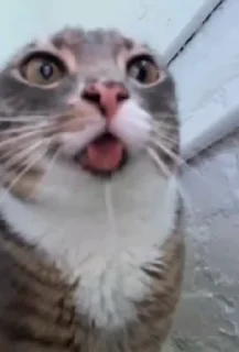 😝