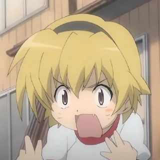 🙀